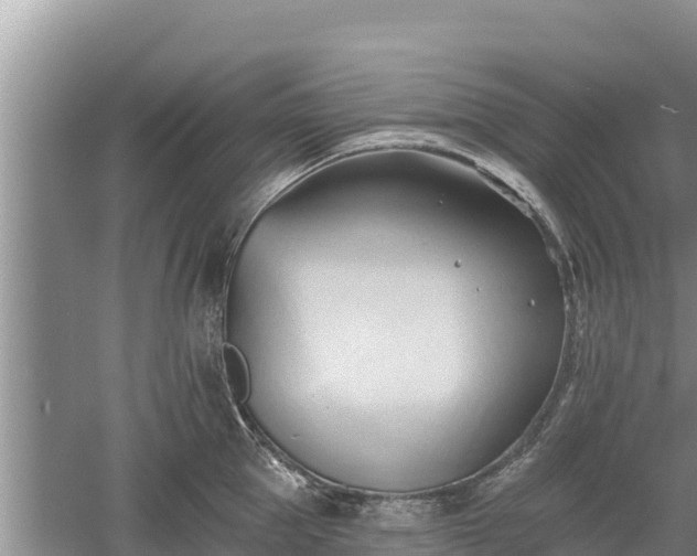 X0000060560953200511101600