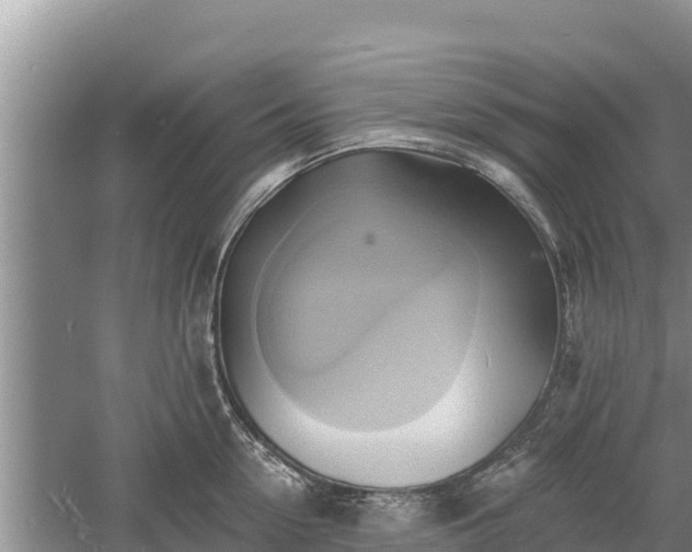 X0000060560954200511101600