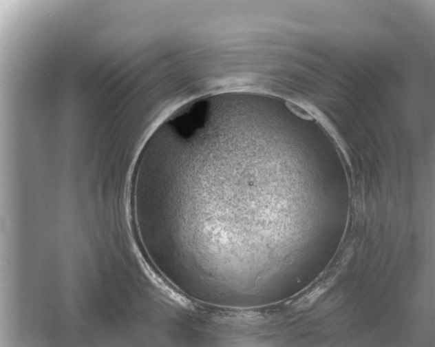 X0000060560957200511101600