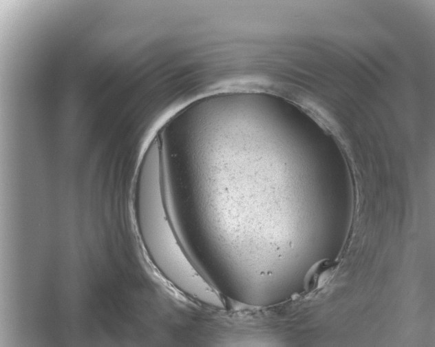 X0000060560960200511101600