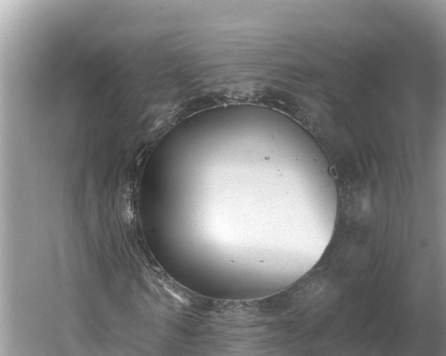 X0000060560962200511101559