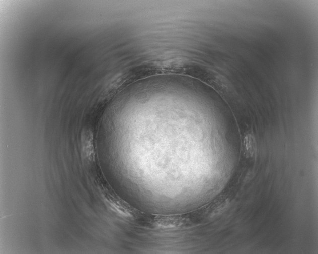 X0000060560963200511101559