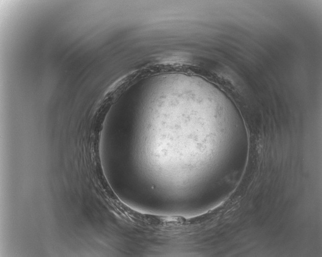 X0000060560968200511101559