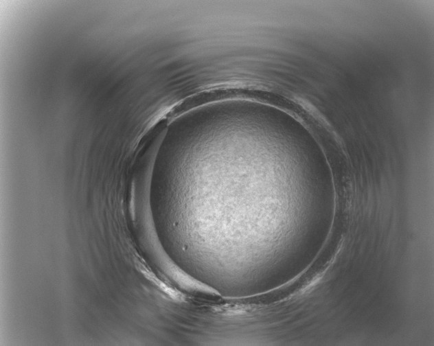 X0000060560969200511101559