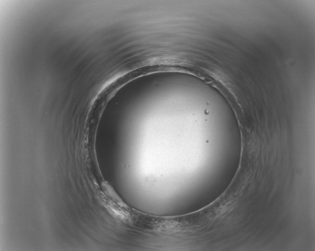 X0000060560971200511101559