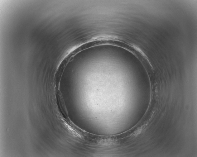 X0000060560973200511101559