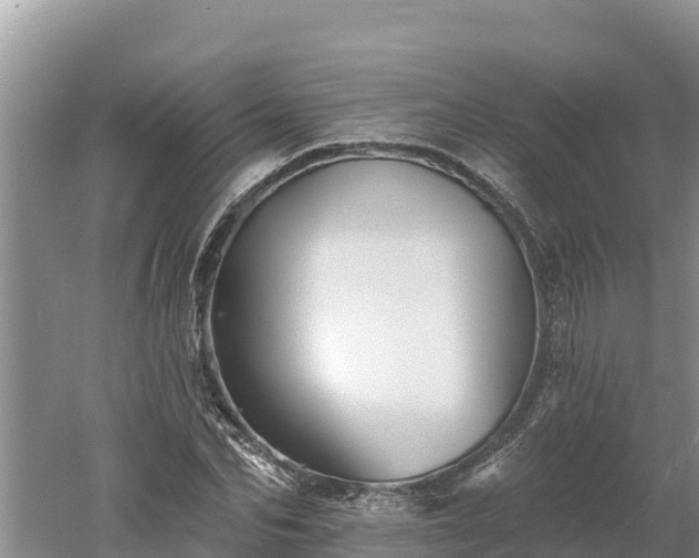 X0000060560974200511101559