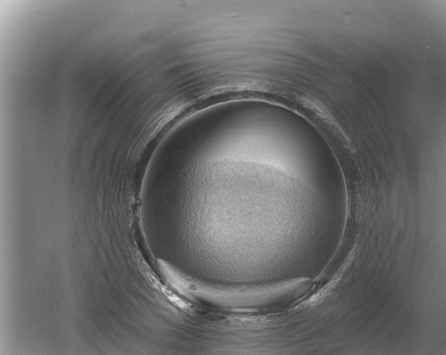 X0000060560977200511101559