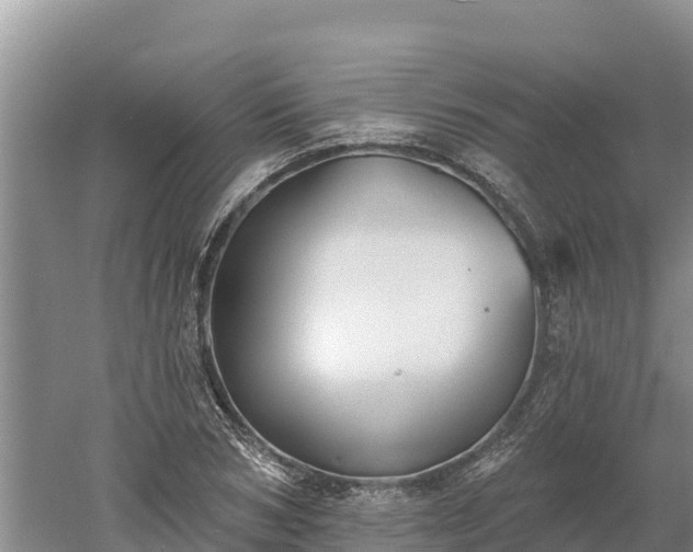 X0000060560978200511101559