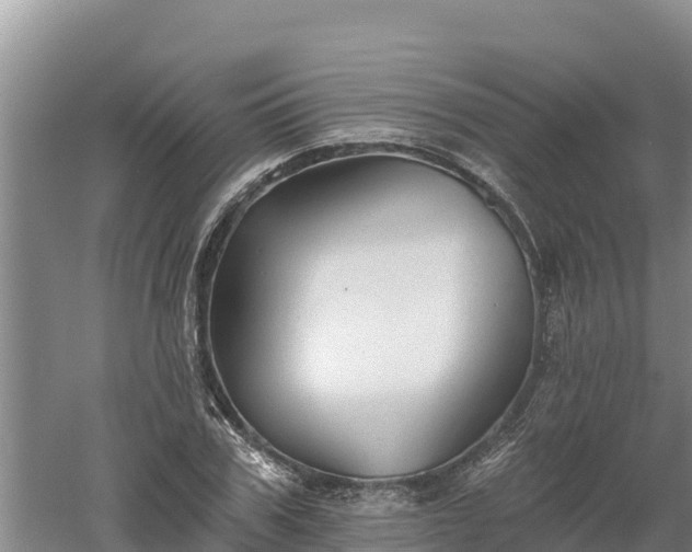 X0000060560979200511101559