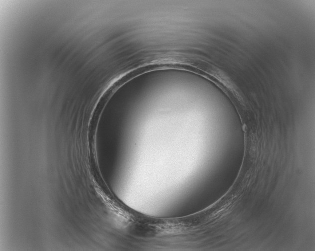 X0000060560980200511101559