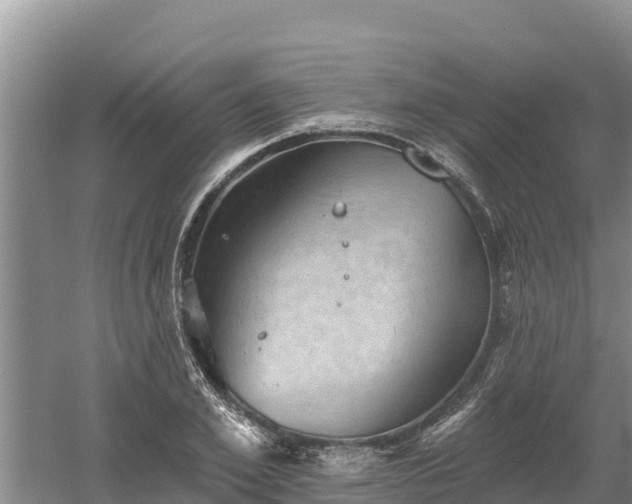 X0000060560981200511101559