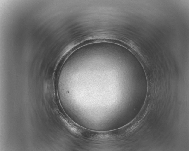 X0000060560982200511101559