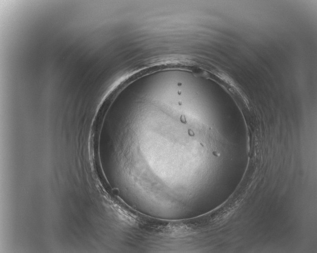 X0000060560983200511101559