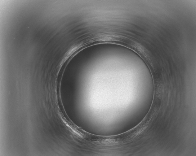 X0000060560986200511101559