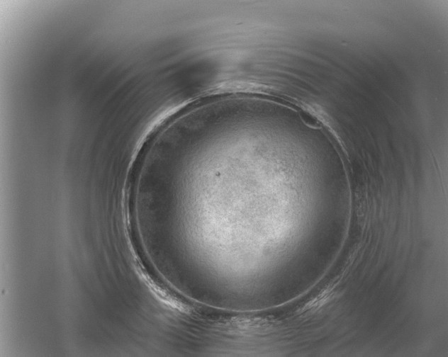 X0000060560987200511101559