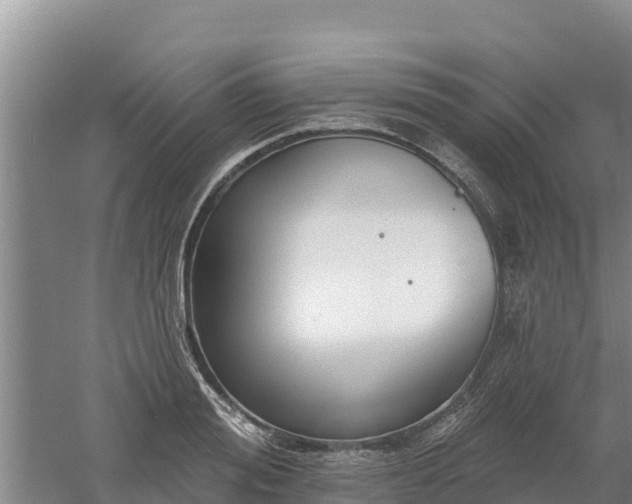 X0000060560988200511101559