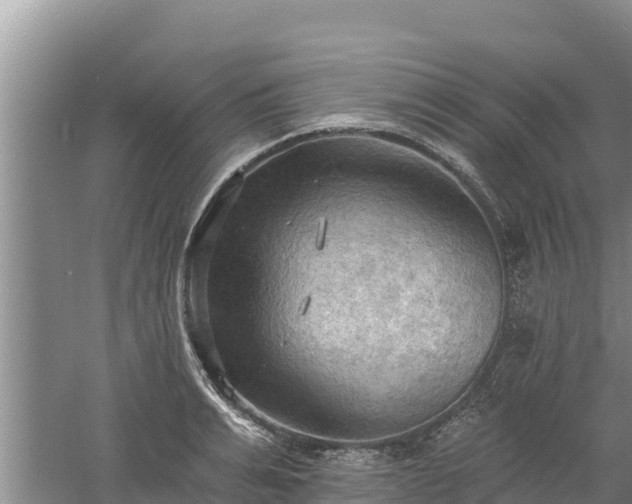 X0000060560991200511101559