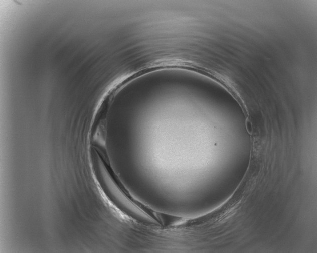 X0000060560995200511101559