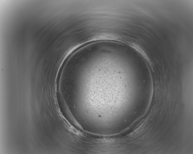 X0000060560996200511101559