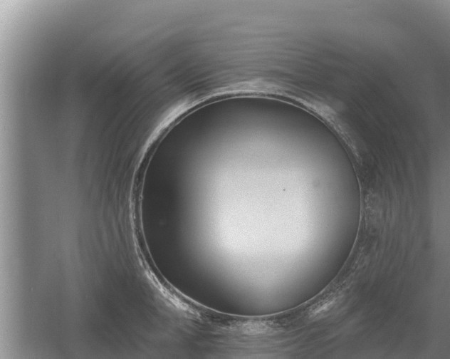 X0000060560998200511101558