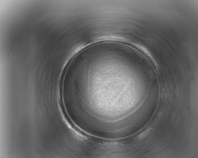 X0000060560999200511101558