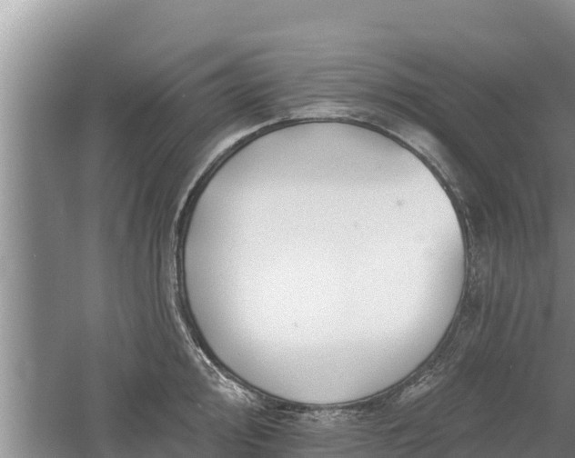 X0000060561000200511101558