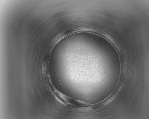 X0000060561001200511101558