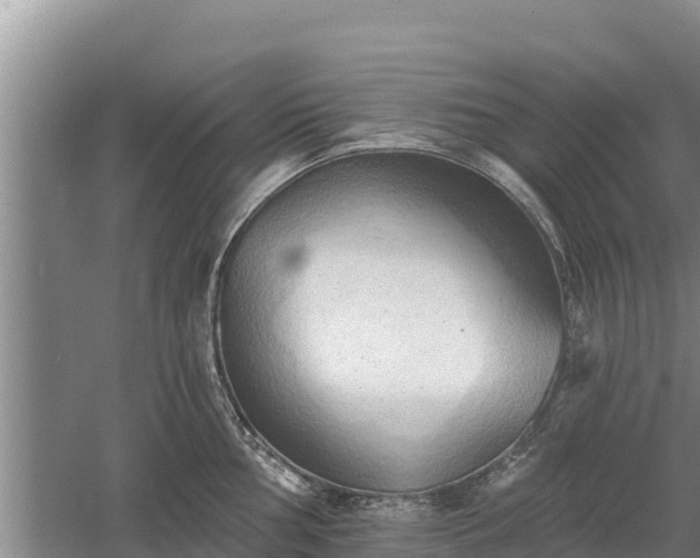 X0000060561002200511101558