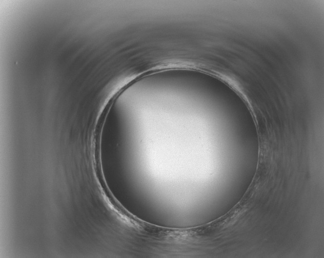 X0000060561003200511101558