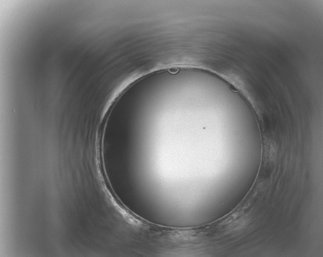 X0000060561006200511101558