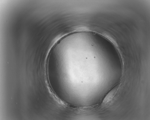 X0000060561008200511101558