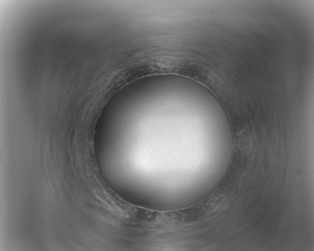 X0000060561009200511101557