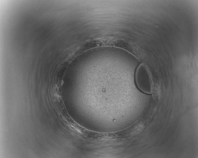 X0000060561010200511101558