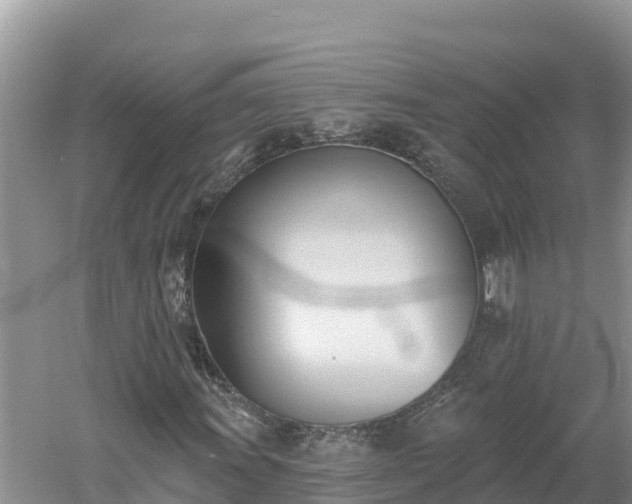 X0000060561011200511101558