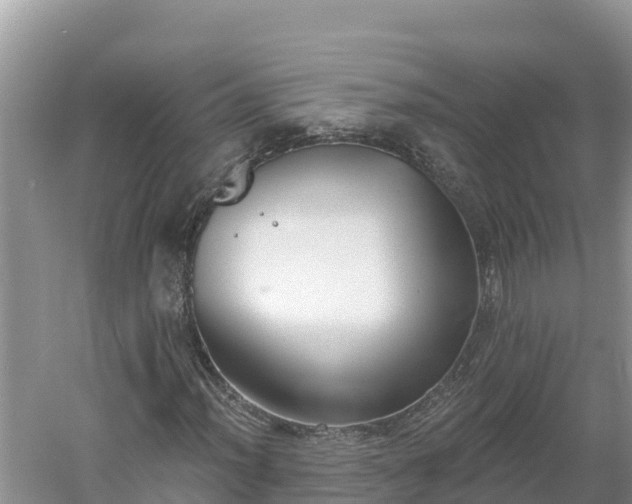 X0000060561012200511101558