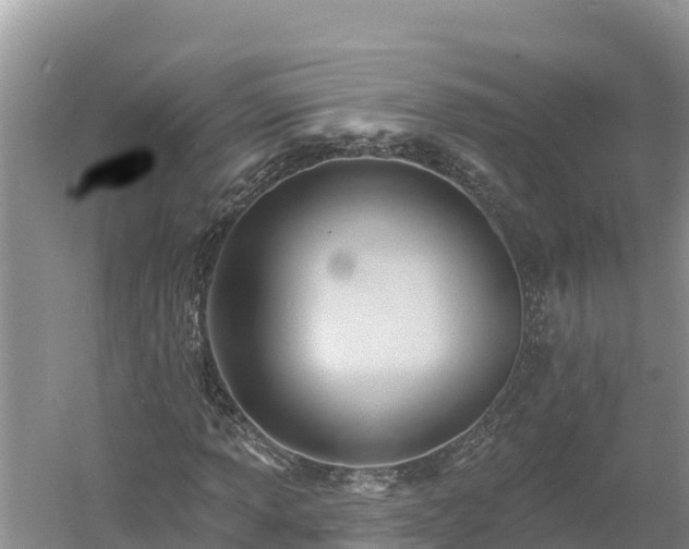 X0000060561013200511101558