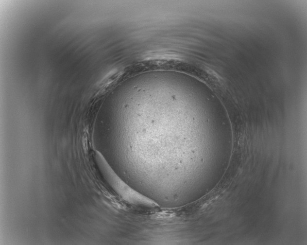 X0000060561014200511101558