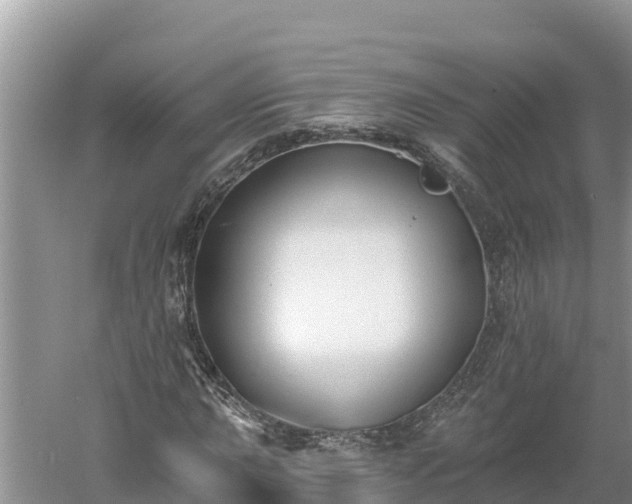 X0000060561015200511101558