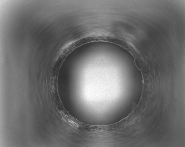 X0000060561016200511101558