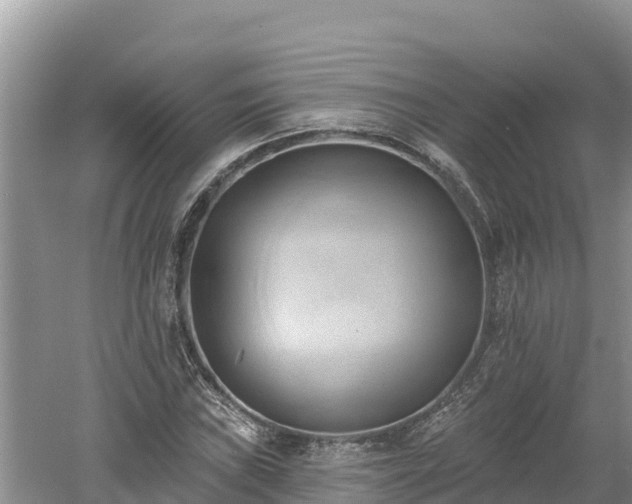 X0000060561019200511101558