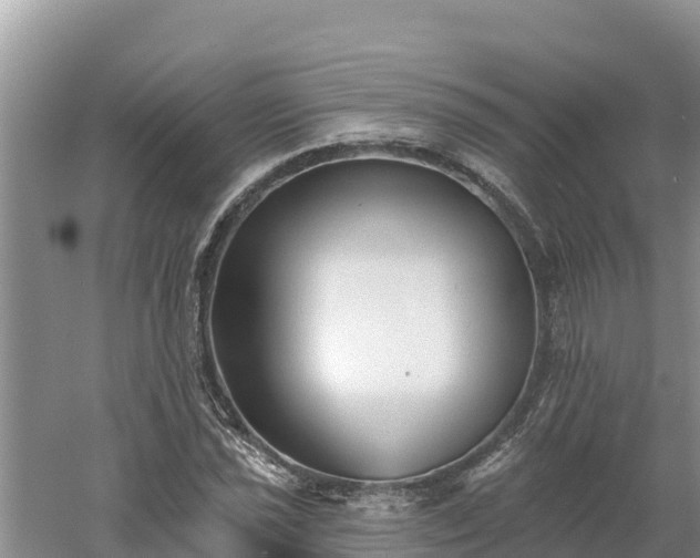 X0000060561021200511101558