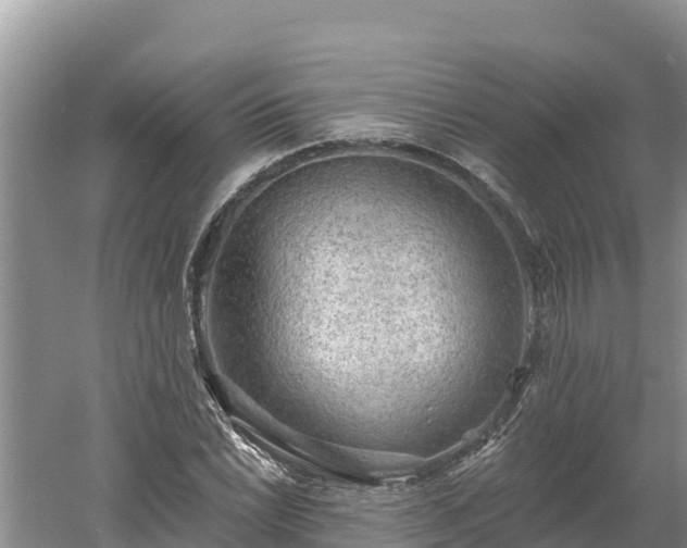 X0000060561022200511101558