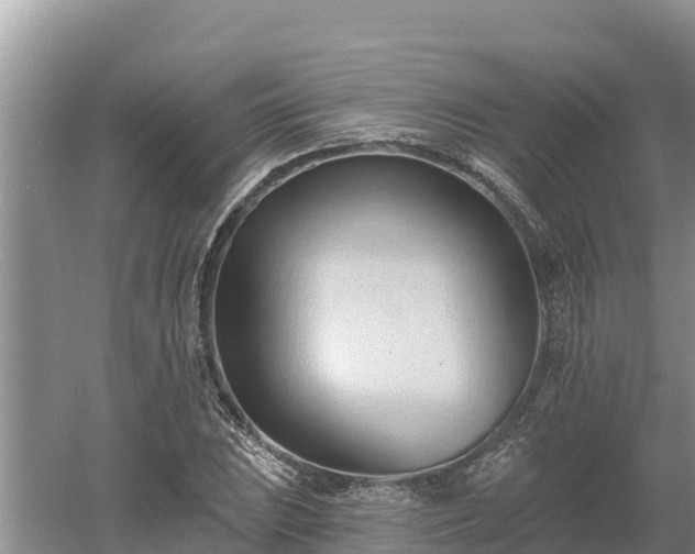 X0000060561023200511101558