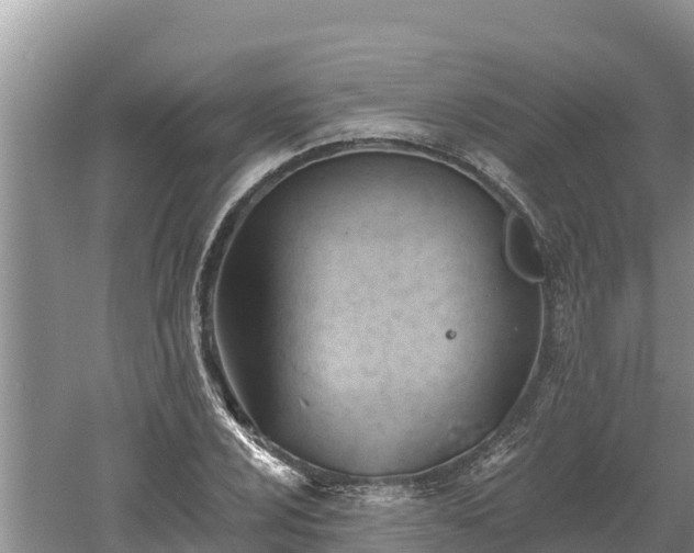 X0000060561024200511101558