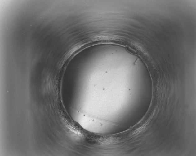 X0000060561025200511101558