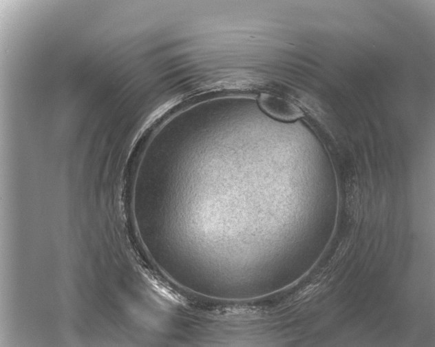 X0000060561026200511101558