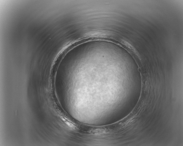 X0000060561027200511101558