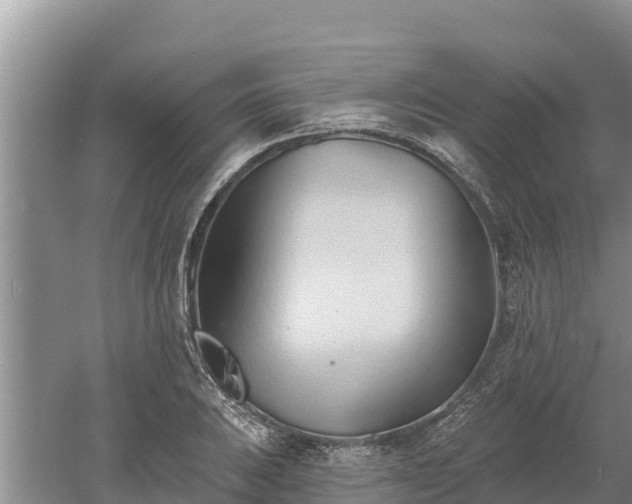 X0000060561031200511101558