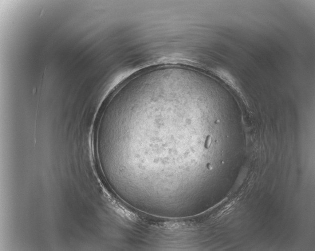 X0000060561032200511101558